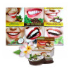 Thai toothpaste 12 pcs
