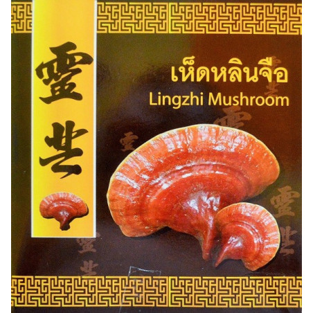 Kongka Herb Lingzhi Mushroom, 220 g