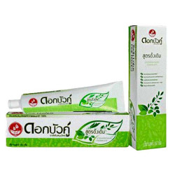 Twin Lotus Herbal Toothpaste Original