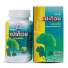 Capsules Ginkgo Biloba, for the cerebral circulation and improve memory, 100 pcs
