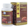 Kongka Herb Капсулы с экстрактом грибов Линчжи, 100 шт