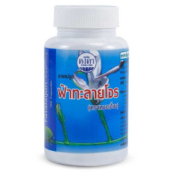 Capsules Fah Talai Jone treatment of colds, 100 pcs