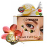 Eye cream with stem cells snails, 5 g